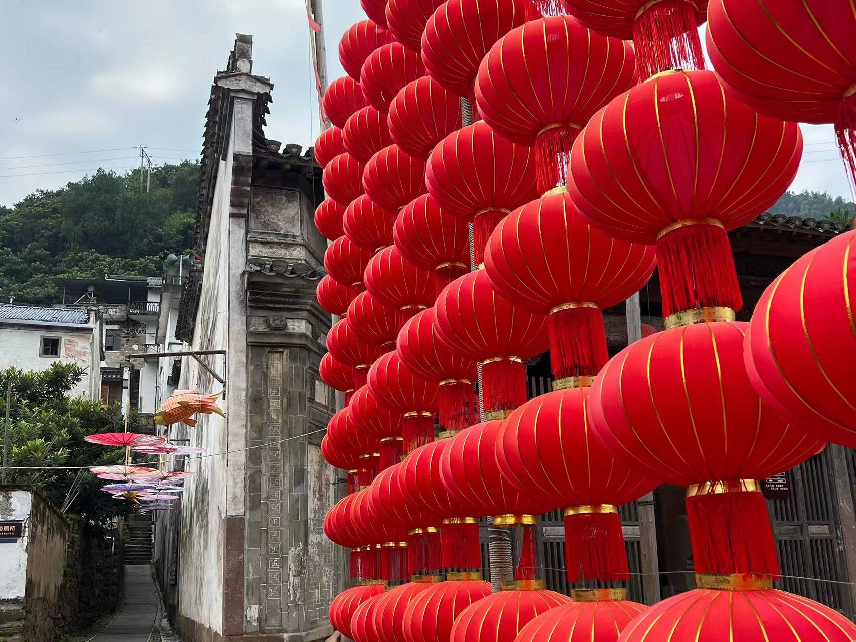 ɰ塣֪֮ 