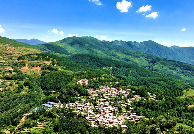 Զկ