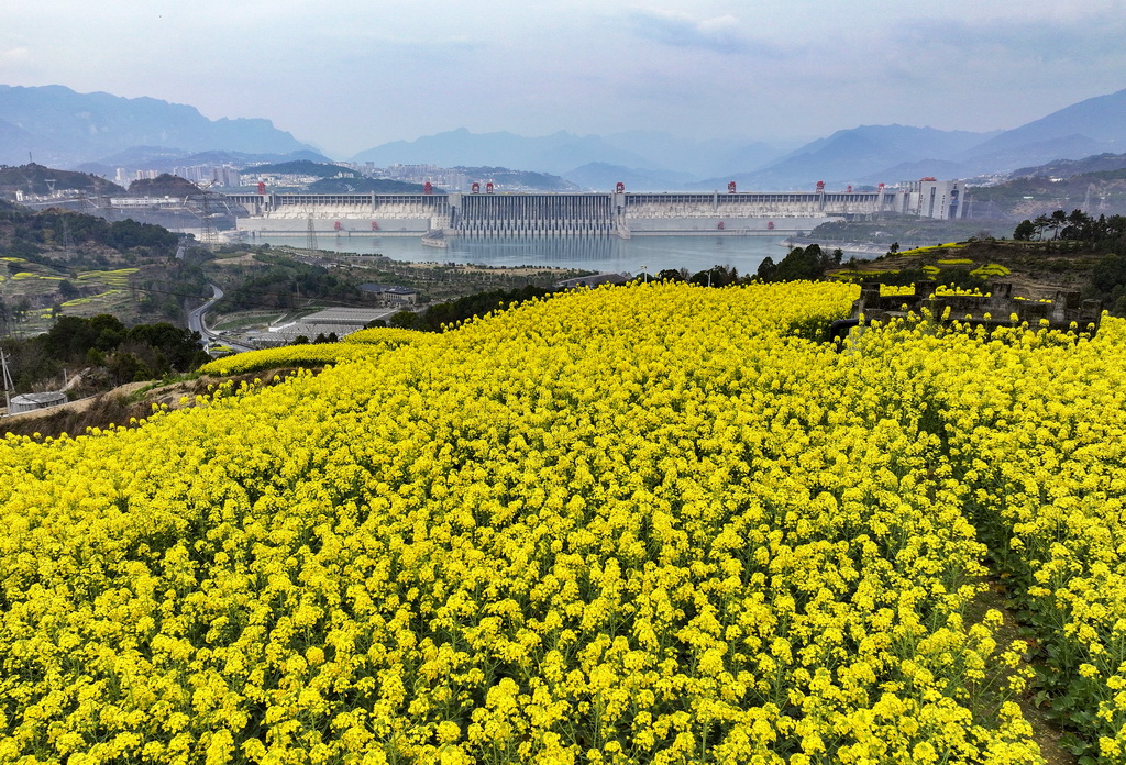 湖北宜昌：三峡坝区春光美