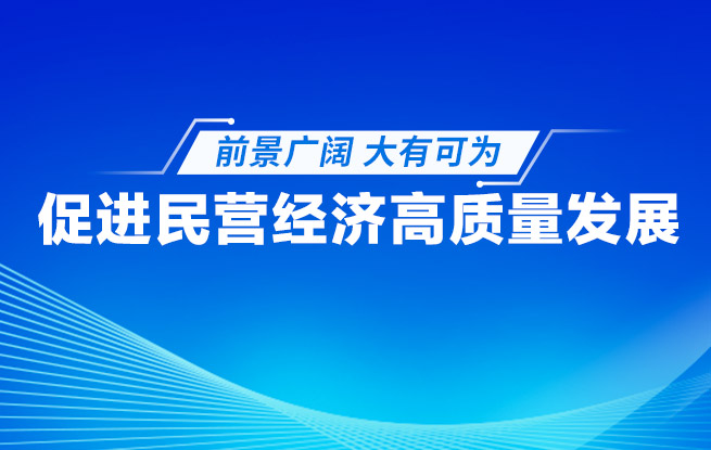 专题报道：促进民营经济高质量发展