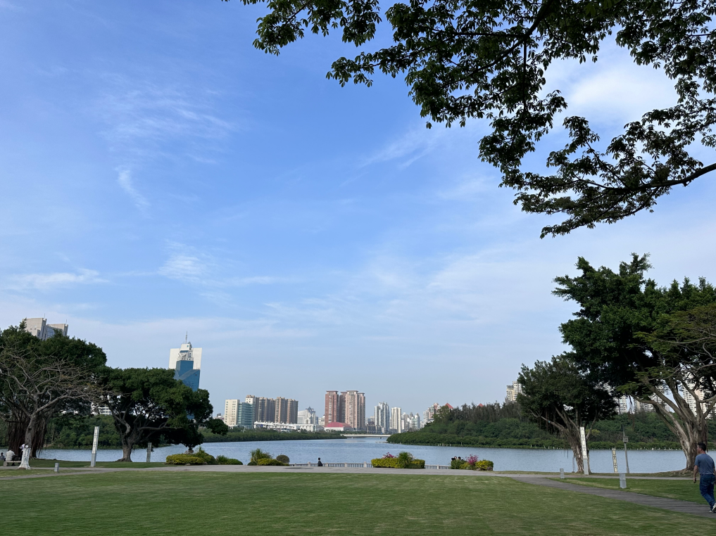 筼筜湖畔，风景如画。人民网记者 王绍绍摄