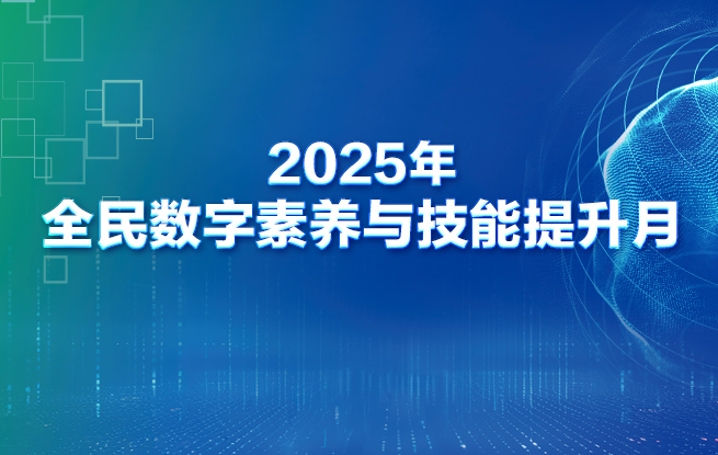 2025年全民数字素养与技能提升月
