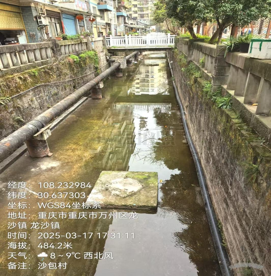 2025年3月现场照片。重庆市生态环境局供图