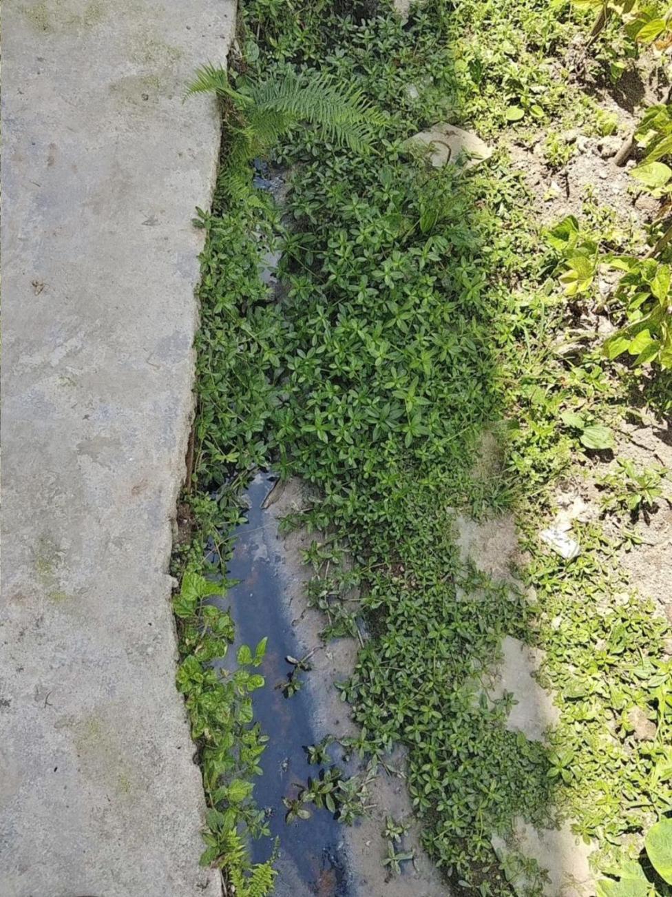 村庄污水横流。生态环境部供图