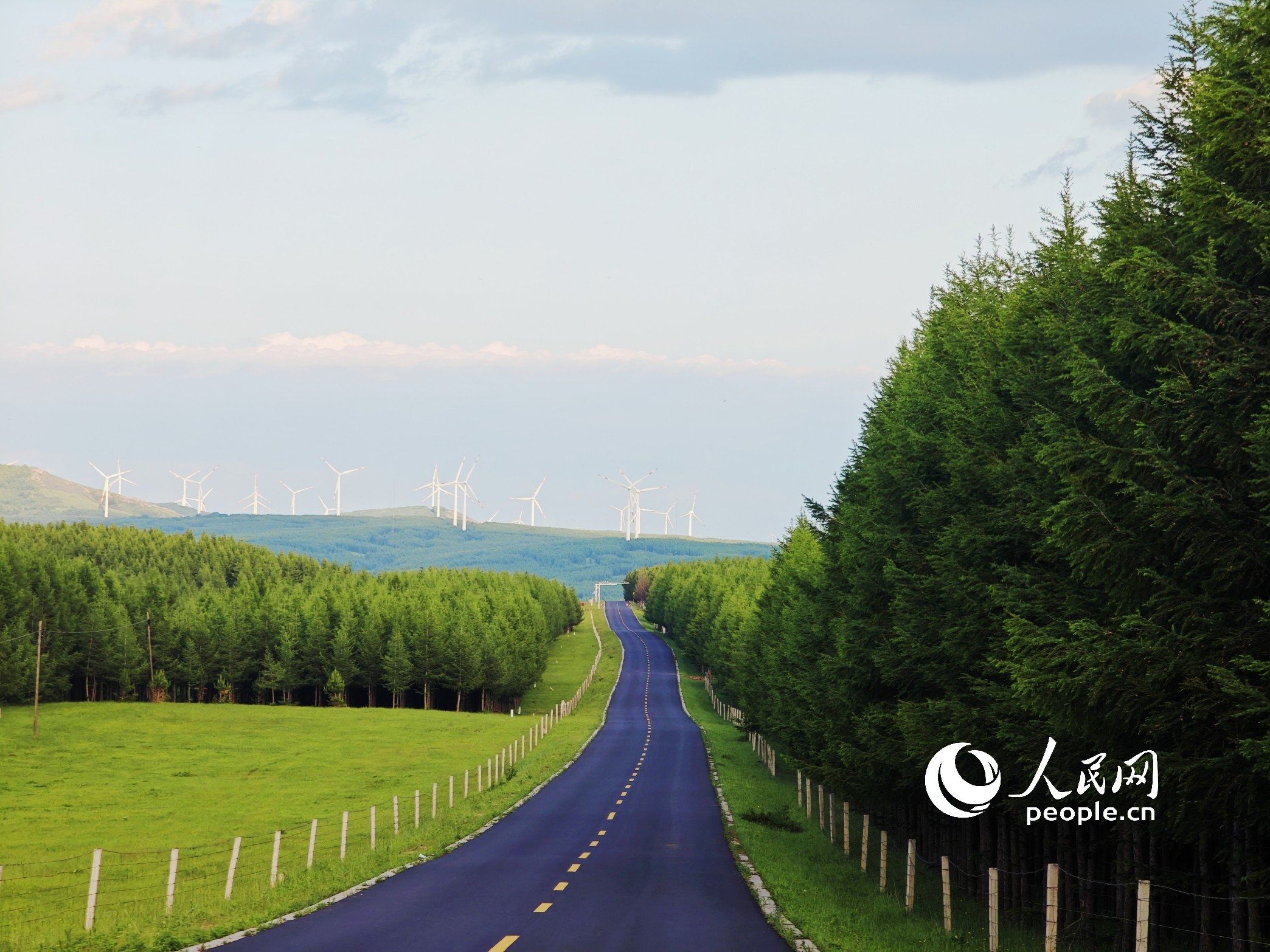 御道口草原森林风景区的道路。人民网记者 王天乐摄 