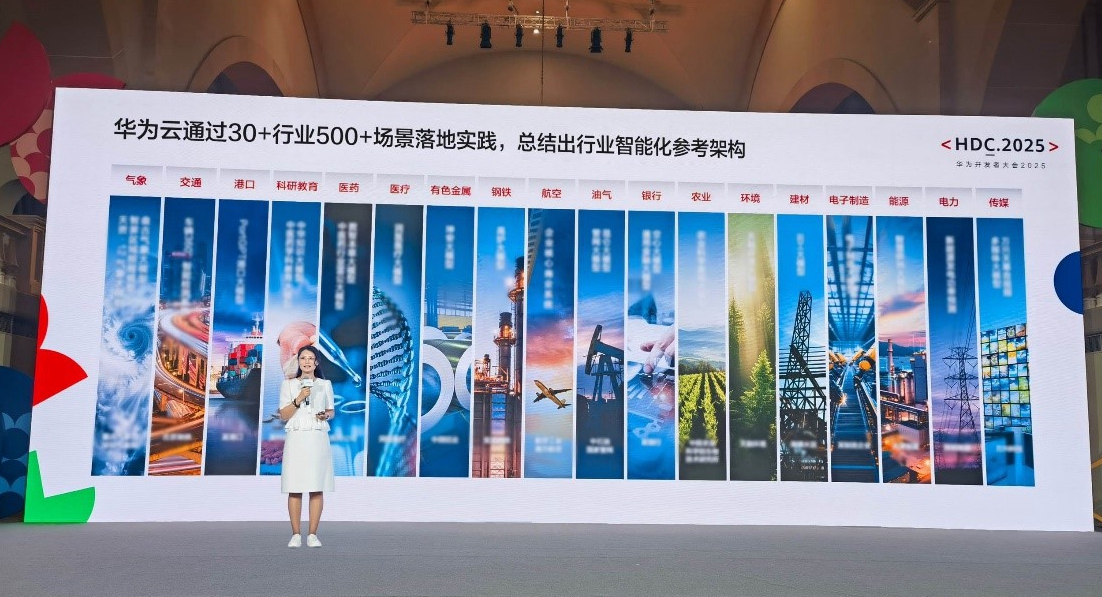 华为云计算生态解决方案部部长肖苡发布《华为云行业智能化参考架构》。（受访者供图）