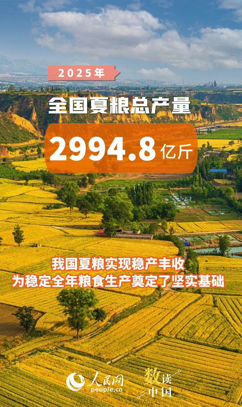 制图：杨曦