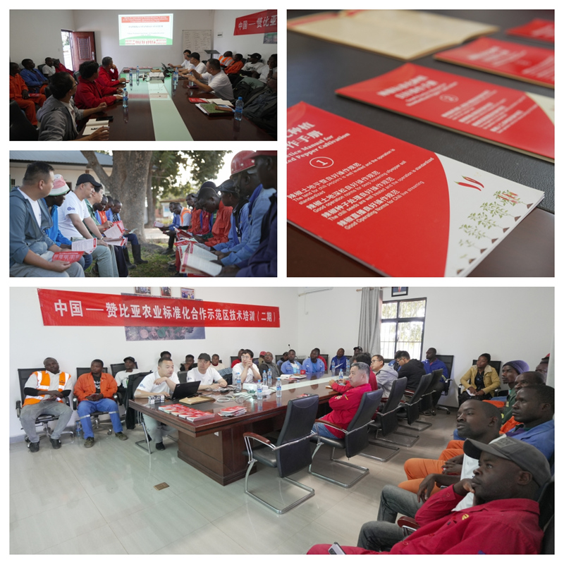 图为中国专家团队与当地农场人员交流现场。受访方供图