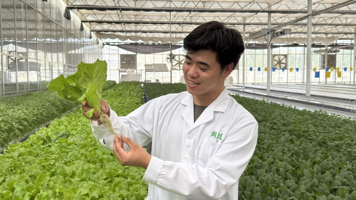 项目运营负责人林巍在检查农作物生长情况。人民网记者 焦磊摄