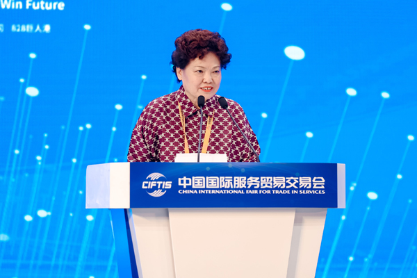 中国国际经济合作学会会长高元元发言。主办方供图