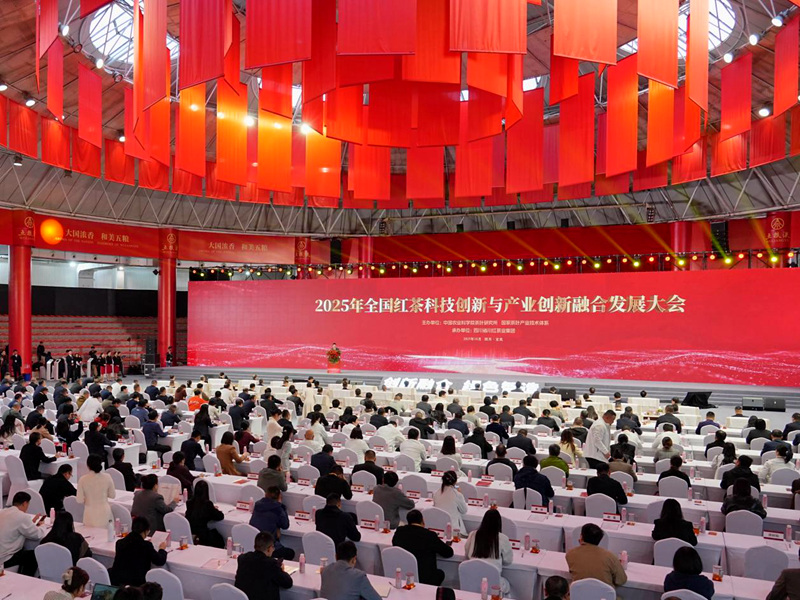 会议现场。受访方供图