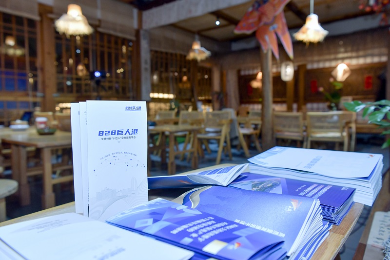 “2025人民之夜@乌镇”茶话会现场。人民网记者 任峰涛摄