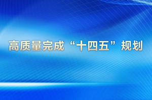 高质量完成“十四五”规划