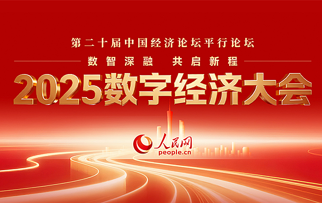 2025数字经济大会