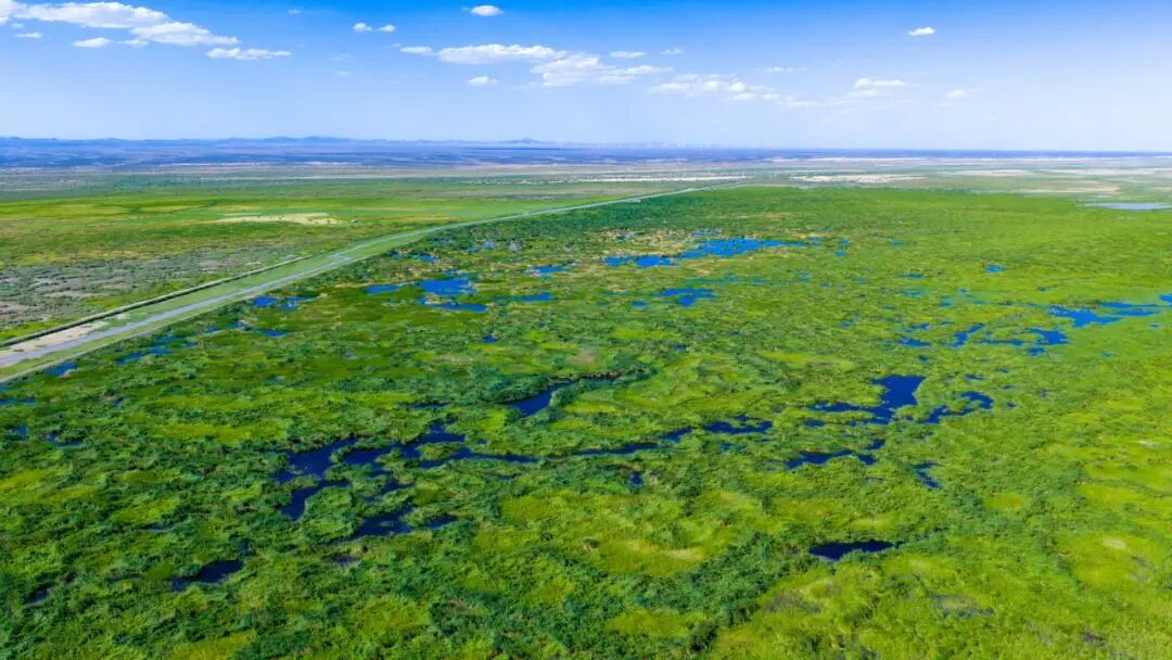 敦煌湿地。受访者供图