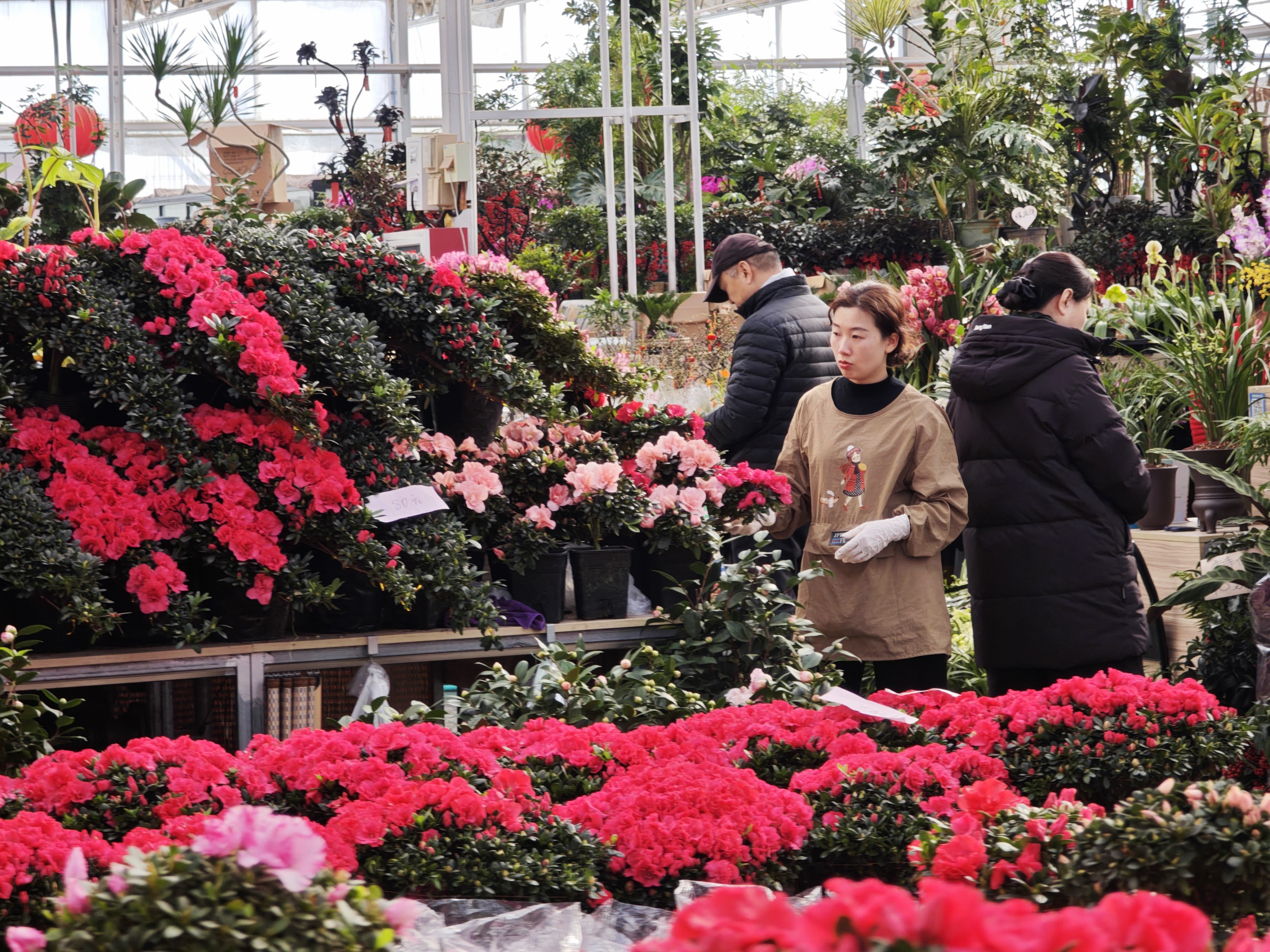 花摊老板正在整理花卉。人民网记者 王天乐摄