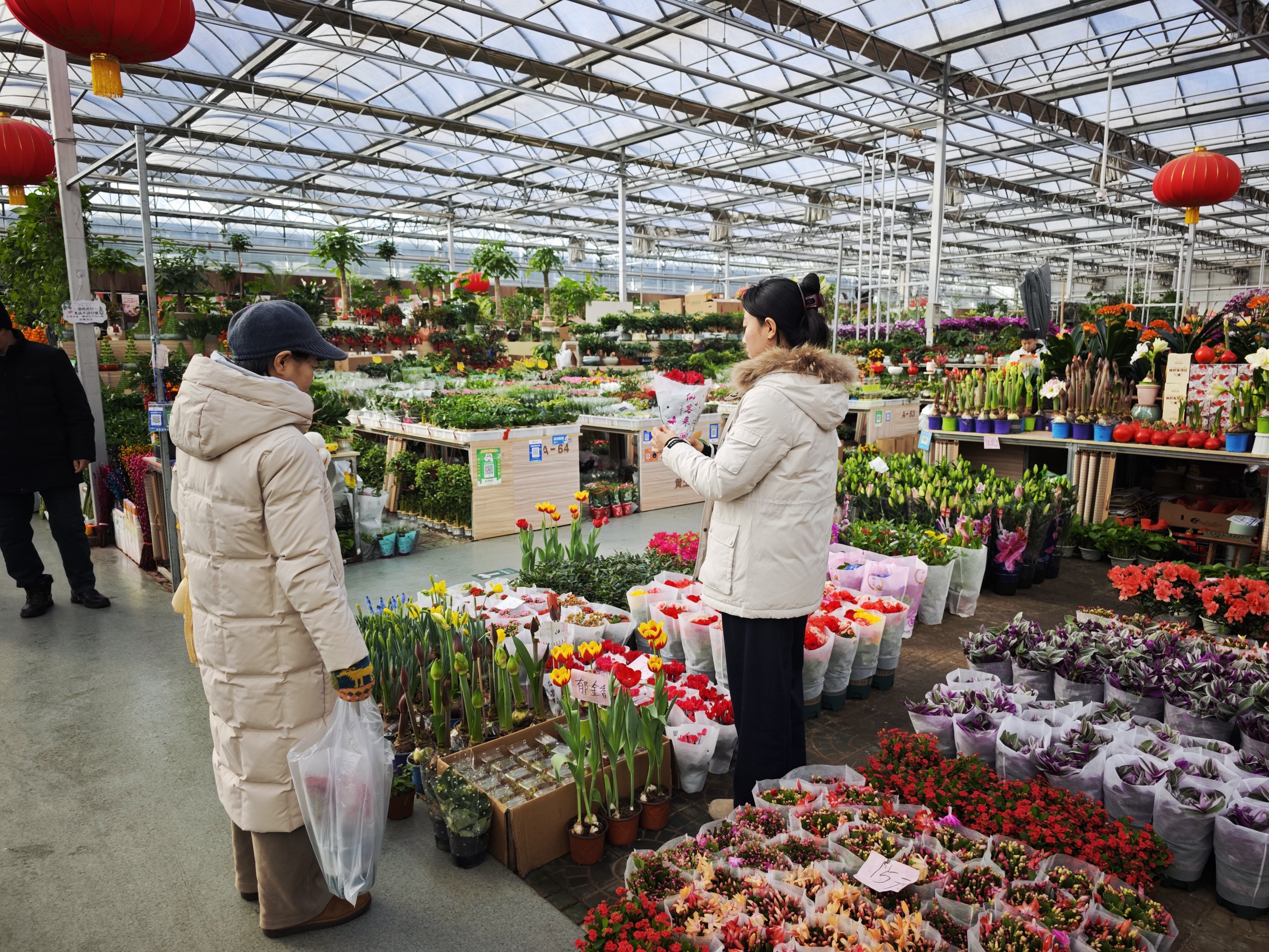 消费者在选花。人民网记者 王天乐摄
