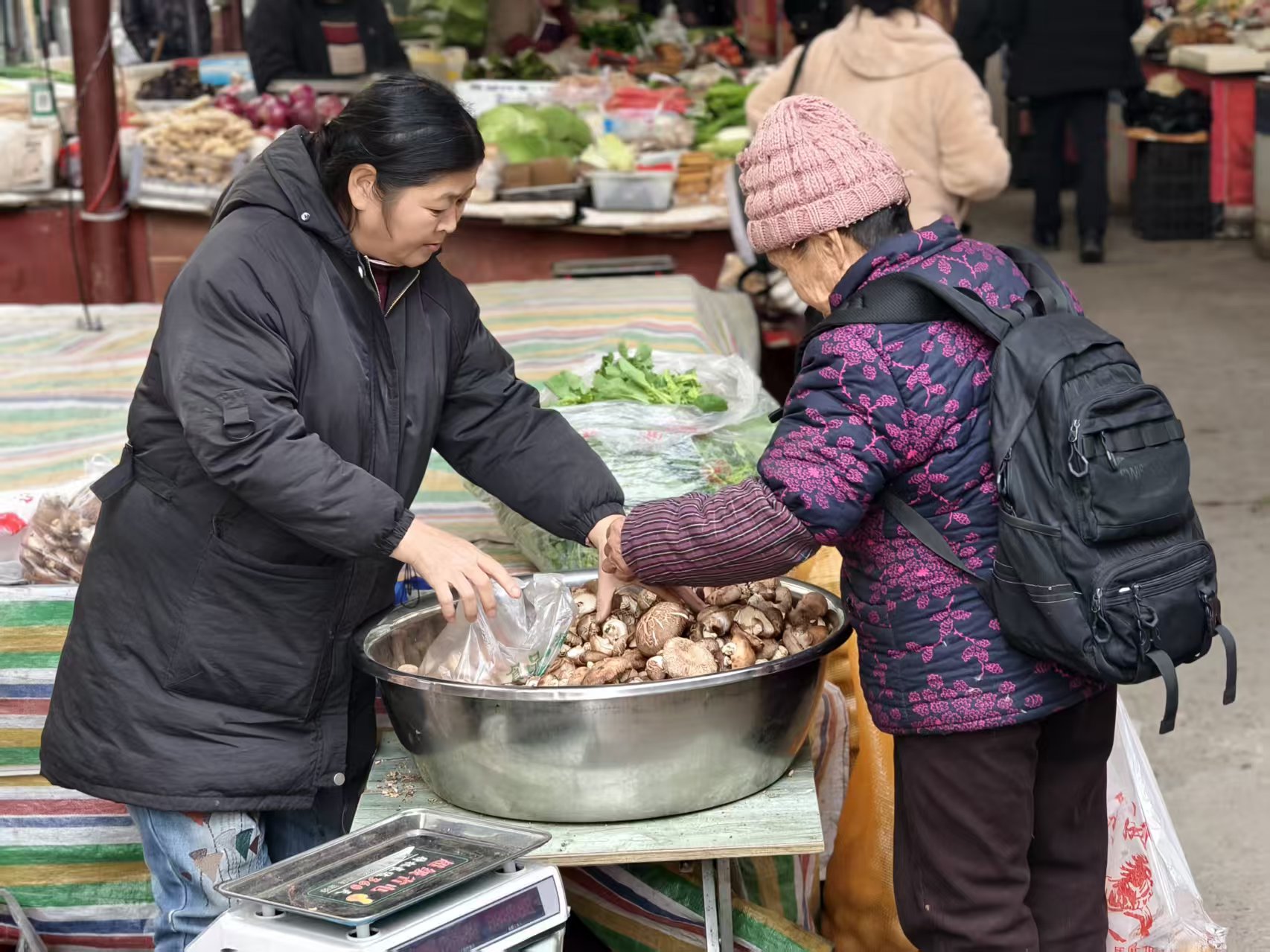 腊月的川北大集，顾客在购买香菇。人民网记者 李栋摄