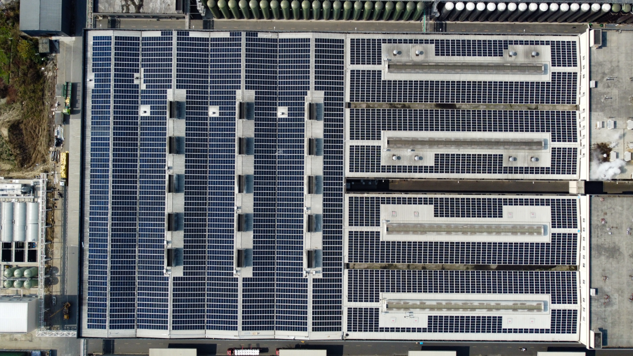 （受访者供图）