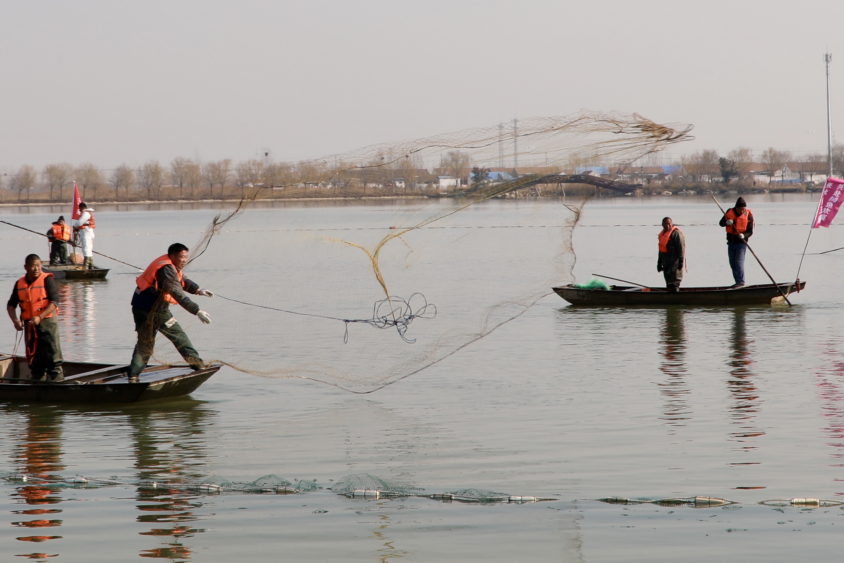  船工在湖上撒下大网开始捕鱼。人民网记者 王天乐摄
