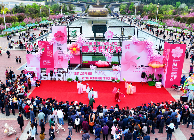 秦岭樱花节广场的演出。主办方供图