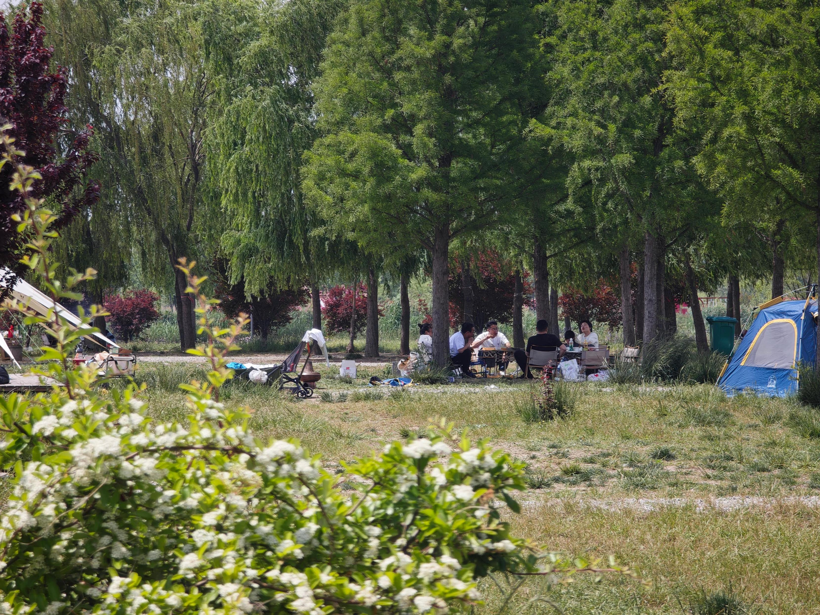 五一期间游客在露营地野餐。人民网记者 王天乐摄