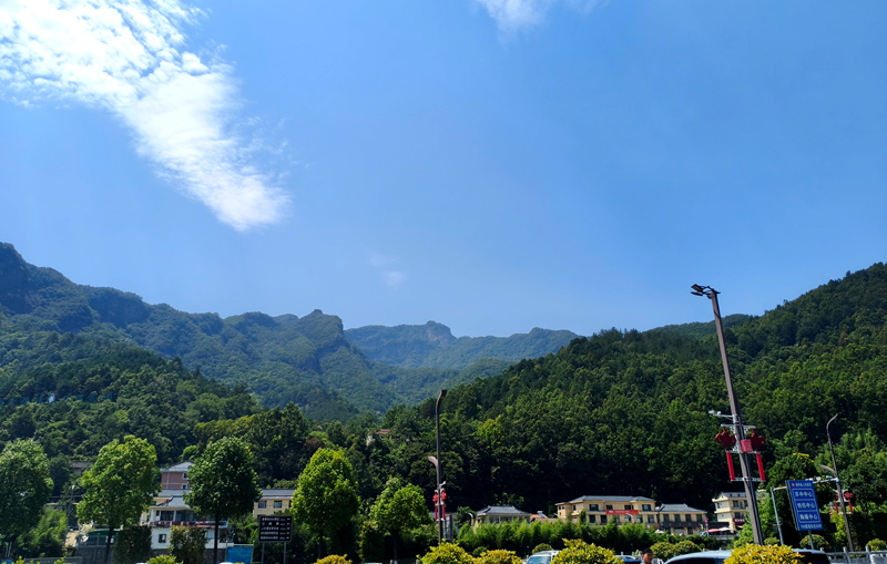 佛坪县森林覆盖率达91.19%，优越的自然环境成为保护生物多样性的基础。人民网记者 孙博洋摄