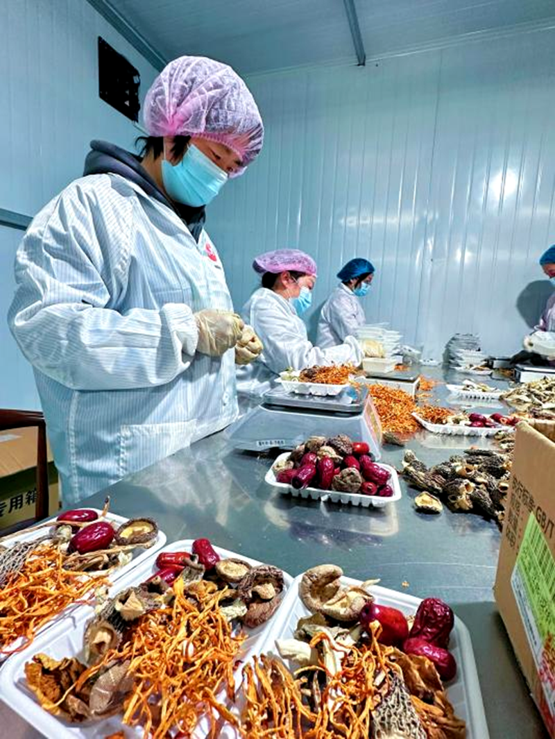 秦岭菌汤包包装生产线。受访者供图