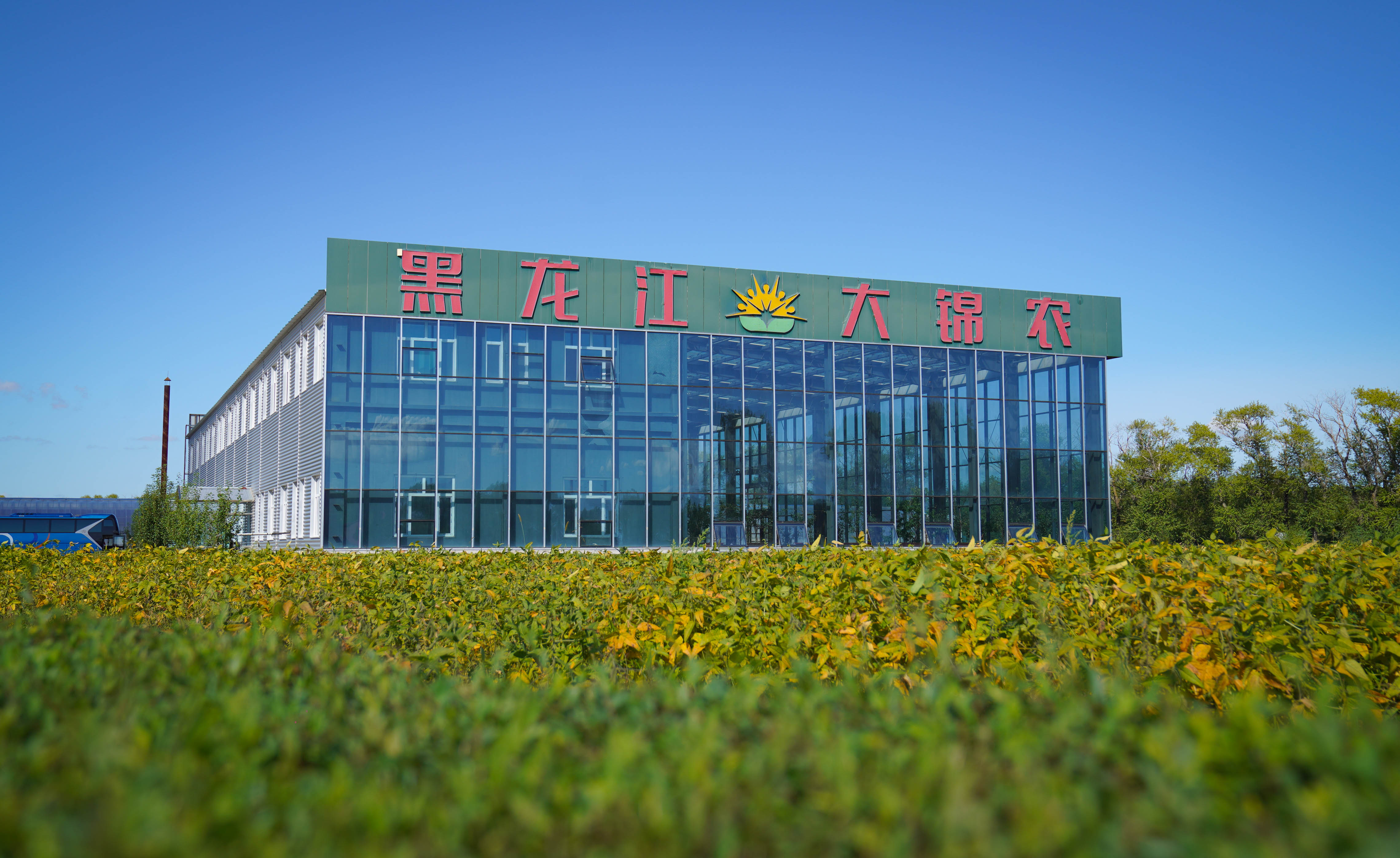 智能温室园区外景。苏靖刚摄
