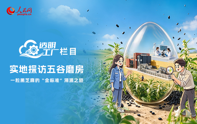 人民网“透明工厂”实地探访五谷磨房