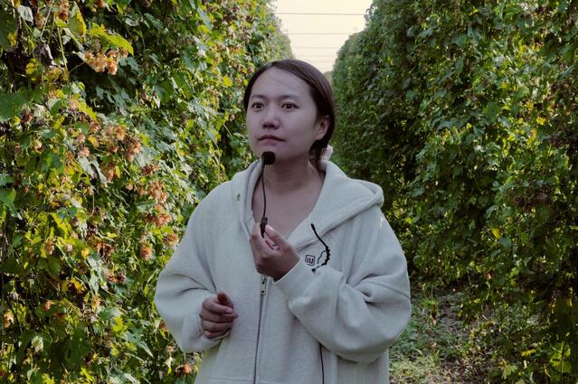 啤酒花育种项目负责人聂楠