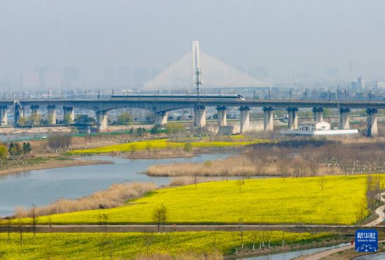 3月11日，一列高铁列车穿行在十八联圩生态湿地（无人机照片）。新华社记者 杜宇 摄